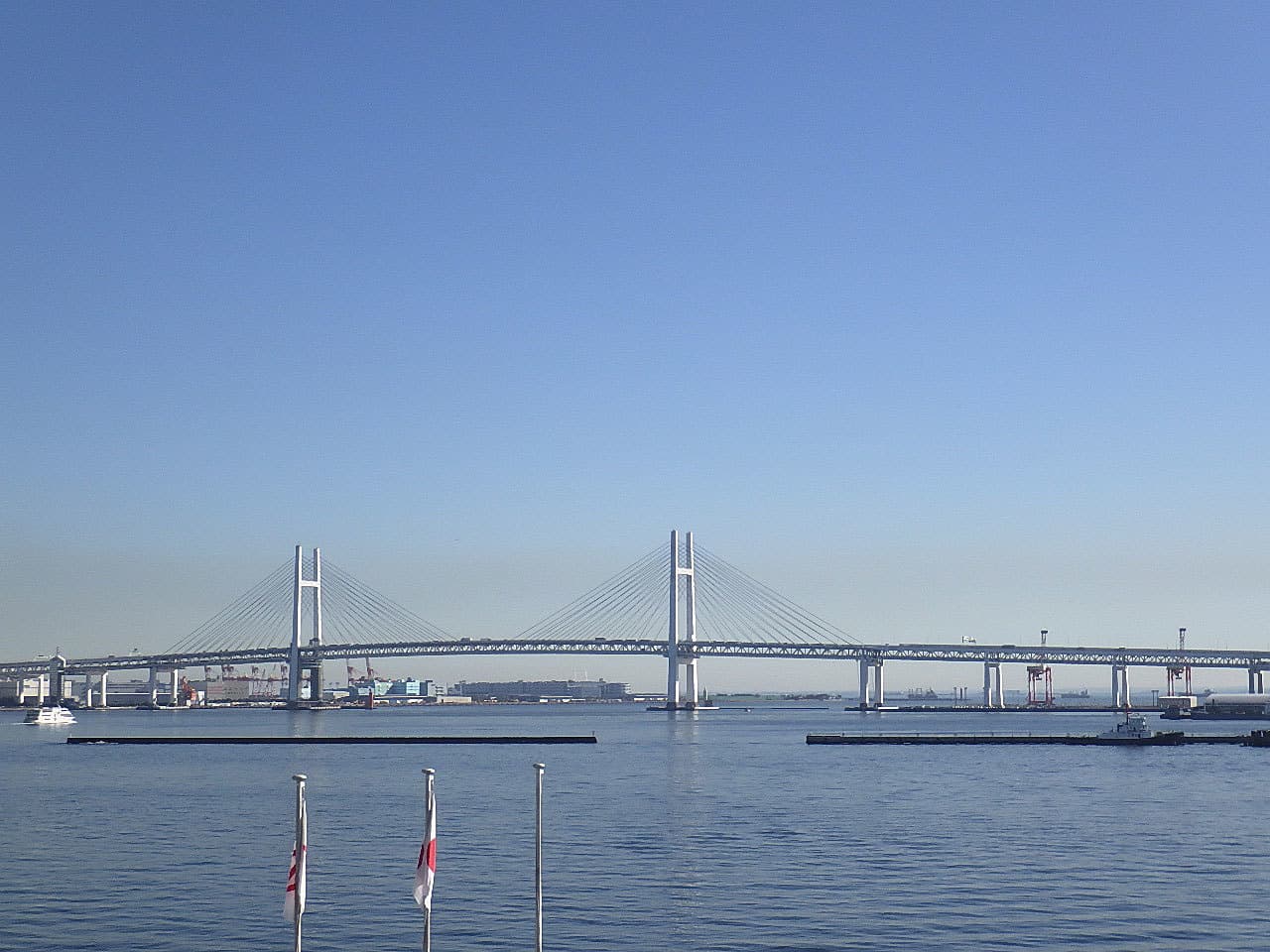 p5.jpg